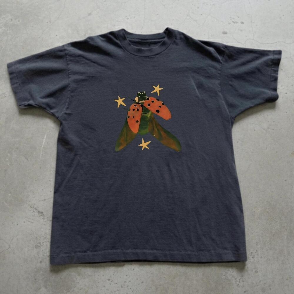 Ladybug Graphic Tee With Stars